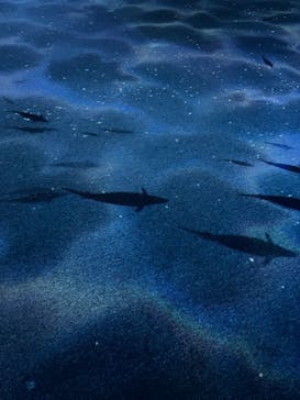 AOAO SAPPOROに投稿された画像（2024/10/21）