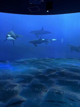 AOAO SAPPOROに投稿された画像（2024/10/21）