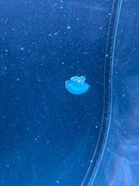 AOAO SAPPOROに投稿された画像（2024/10/21）