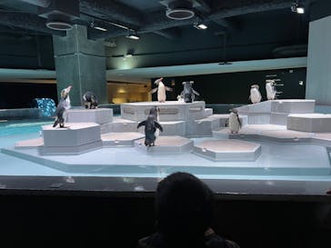 AOAO SAPPOROに投稿された画像（2024/10/21）