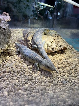 AOAO SAPPOROに投稿された画像（2024/10/21）