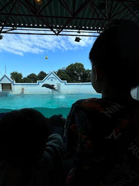 しながわ水族館に投稿された画像（2024/10/21）