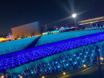 東京メガイルミに投稿された画像（2024/10/21）