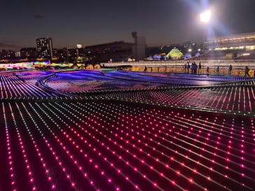 東京メガイルミに投稿された画像（2024/10/21）