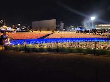 東京メガイルミに投稿された画像（2024/10/21）