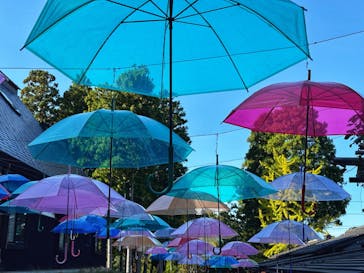 加賀 伝統工芸村　ゆのくにの森に投稿された画像（2024/10/21）