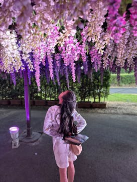 東京メガイルミに投稿された画像（2024/10/21）