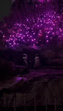 マクセル アクアパーク品川に投稿された画像（2024/10/21）