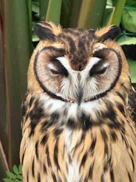 掛川花鳥園に投稿された画像（2024/10/21）