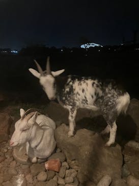 熊谷天然温泉　花湯スパリゾートに投稿された画像（2024/10/21）