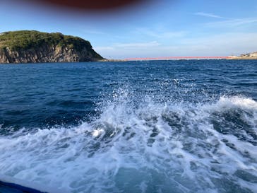 東尋坊観光遊覧船株式会社に投稿された画像（2024/10/21）