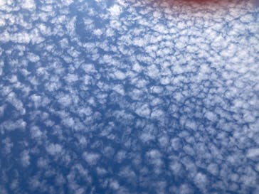 東尋坊観光遊覧船株式会社に投稿された画像（2024/10/21）