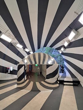 清津峡渓谷トンネルに投稿された画像（2024/10/21）