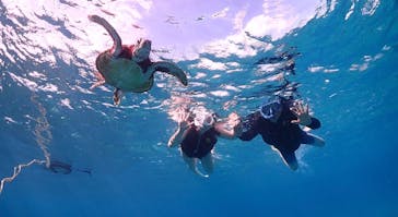 ちゃこたびに投稿された画像（2024/10/21）