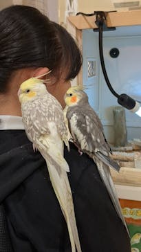 アニタッチららぽーと名古屋みなとアクルスに投稿された画像（2024/10/22）