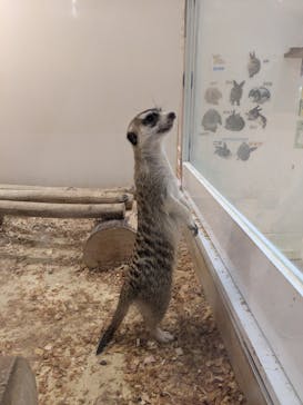 アニタッチららぽーと名古屋みなとアクルスに投稿された画像（2024/10/22）