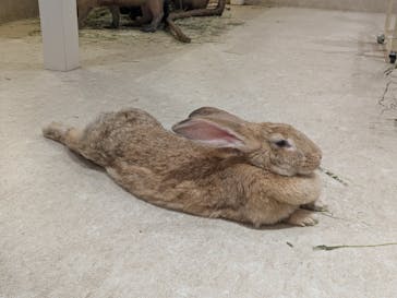 アニタッチららぽーと名古屋みなとアクルスに投稿された画像（2024/10/22）