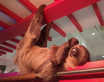 アニタッチららぽーと名古屋みなとアクルスに投稿された画像（2024/10/22）