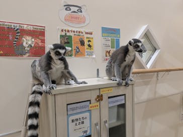 アニタッチららぽーと名古屋みなとアクルスに投稿された画像（2024/10/22）