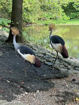 ネオパークオキナワに投稿された画像（2024/10/22）