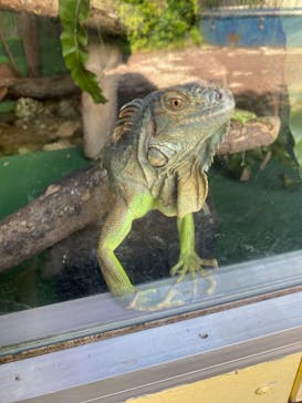 おきなわワールドに投稿された画像（2024/10/22）