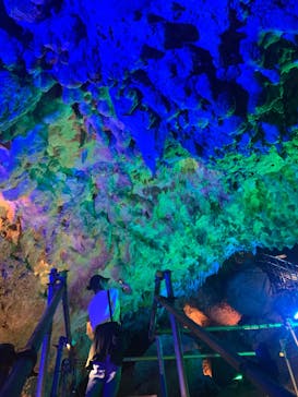 CAVE OKINAWAに投稿された画像（2024/10/22）