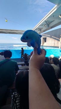上越市立水族博物館 うみがたりに投稿された画像（2024/10/22）