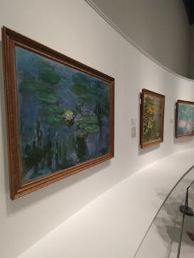 モネ 睡蓮のとき（国立西洋美術館）に投稿された画像（2024/10/22）