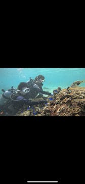 武藤潜水に投稿された画像（2024/10/22）