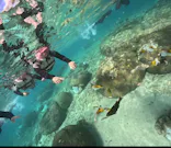 武藤潜水に投稿された画像（2024/10/22）