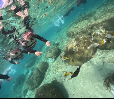 武藤潜水に投稿された画像（2024/10/22）