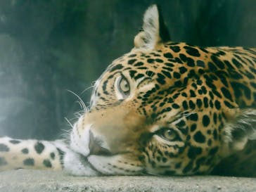 天王寺動物園に投稿された画像（2024/10/22）