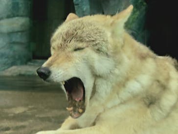 天王寺動物園に投稿された画像（2024/10/22）