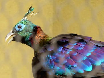 天王寺動物園に投稿された画像（2024/10/22）