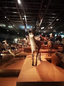 国立科学博物館に投稿された画像（2024/10/22）