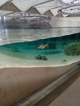 鴨川シーワールドに投稿された画像（2024/10/22）