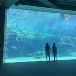 九十九島水族館海きららに投稿された画像（2024/10/22）