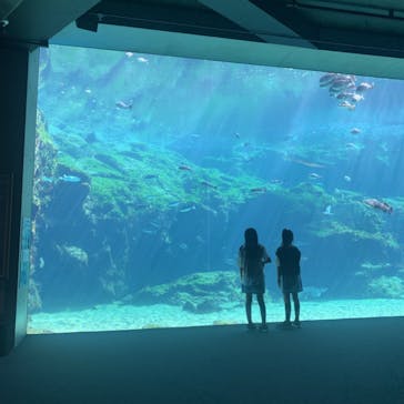 九十九島水族館海きららに投稿された画像（2024/10/22）
