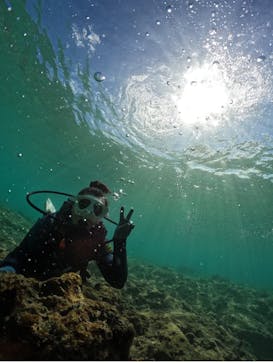 武藤潜水に投稿された画像（2024/10/22）