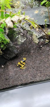 サンシャイン水族館に投稿された画像（2024/10/22）