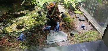 サンシャイン水族館に投稿された画像（2024/10/22）