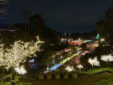 西武園ゆうえんちに投稿された画像（2024/10/22）