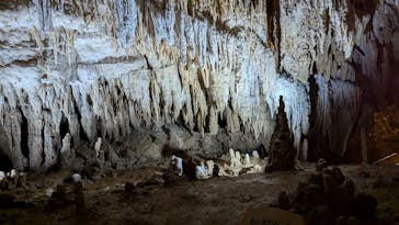 おきなわワールドに投稿された画像（2024/10/22）