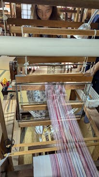 おきなわワールドに投稿された画像（2024/10/22）