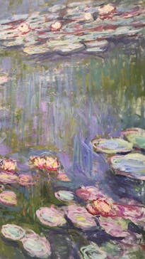 モネ 睡蓮のとき（国立西洋美術館）に投稿された画像（2024/10/22）