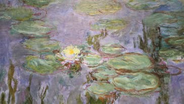 モネ 睡蓮のとき（国立西洋美術館）に投稿された画像（2024/10/22）