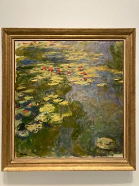 モネ 睡蓮のとき（国立西洋美術館）に投稿された画像（2024/10/22）