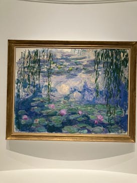 モネ 睡蓮のとき（国立西洋美術館）に投稿された画像（2024/10/22）