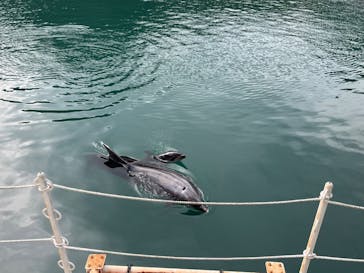 下田海中水族館に投稿された画像（2024/10/22）