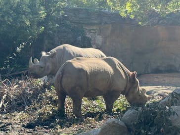 天王寺動物園に投稿された画像（2024/10/22）